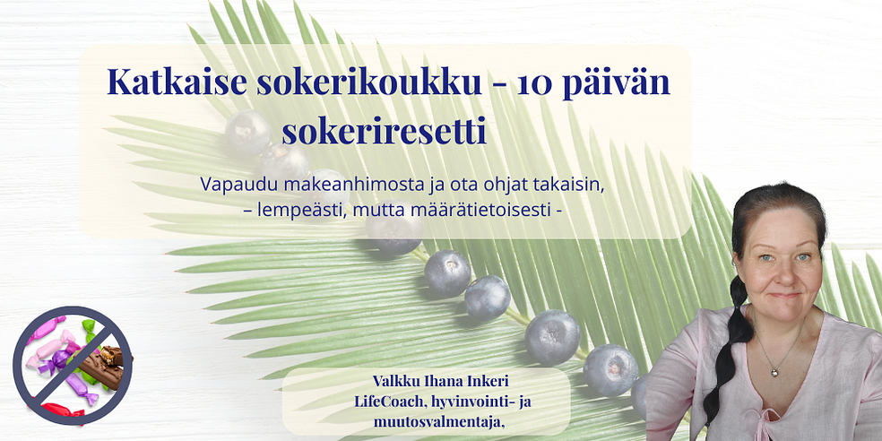 Non stop Katkaise sokerikoukku - 10 päivän sokeriresetti.  by LifeCoach Ihana Inkeri